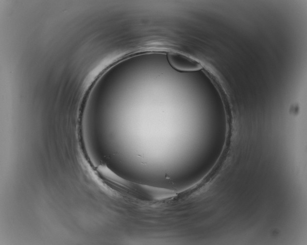X0000115641333200911101508
