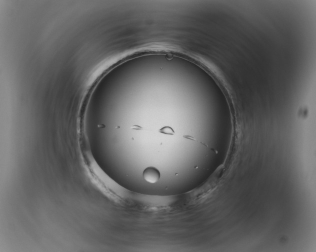 X0000115641335200911101508