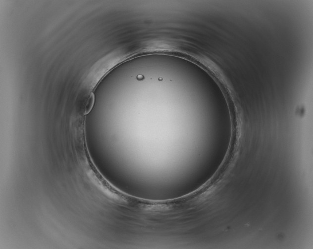 X0000115641337200911101508