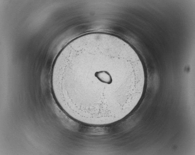 X0000115641338200911101508