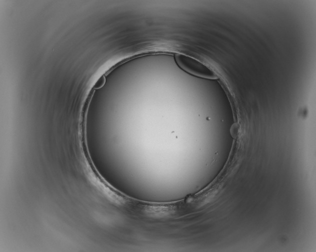 X0000115641339200911101508