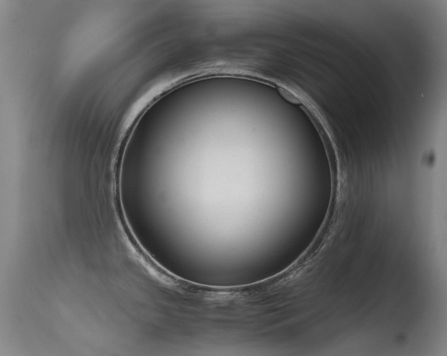 X0000115641341200911101508