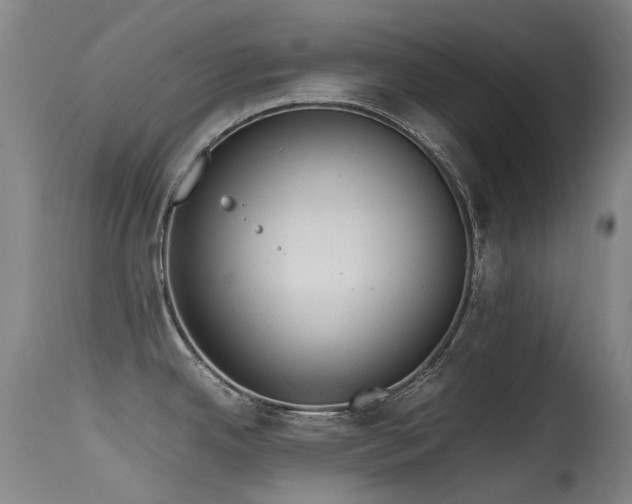 X0000115641342200911101508