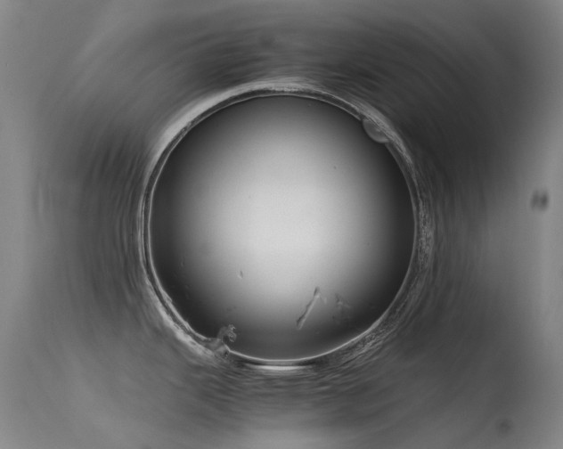 X0000115641343200911101508