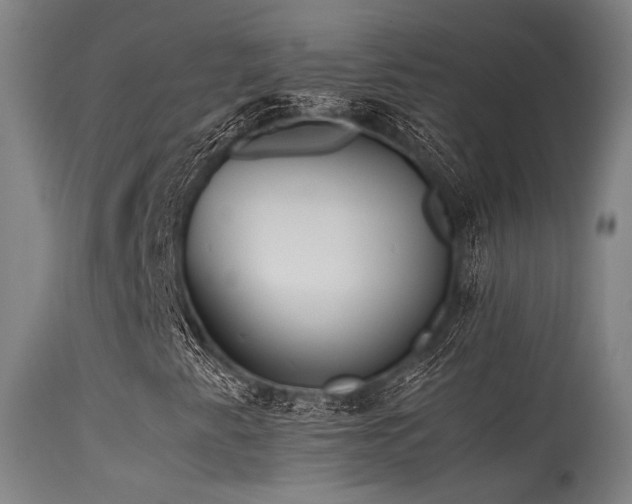 X0000115641345200911101507