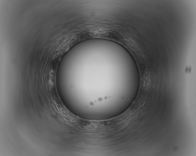 X0000115641346200911101507