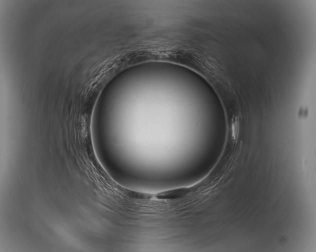 X0000115641347200911101507