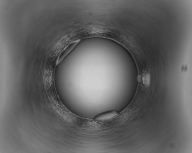 X0000115641348200911101507