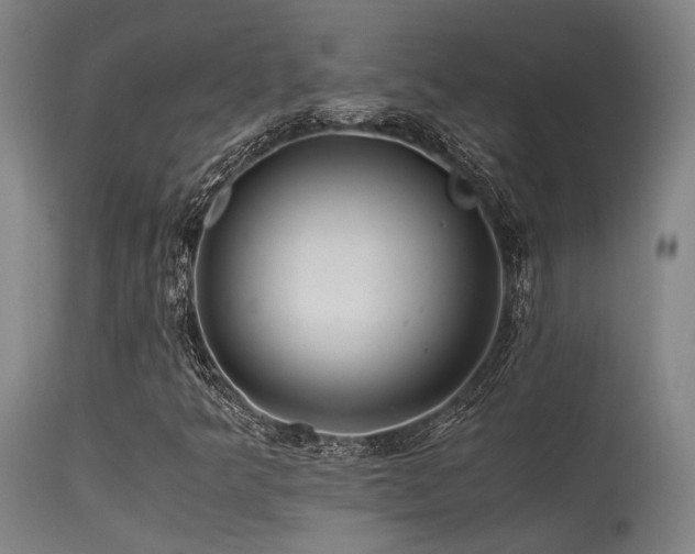 X0000115641349200911101507