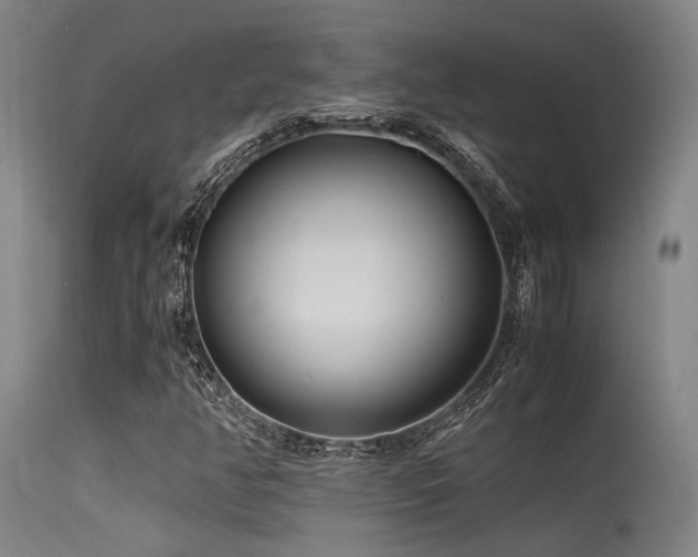 X0000115641350200911101507