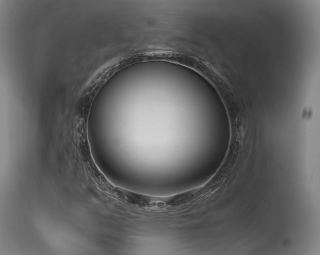 X0000115641351200911101507