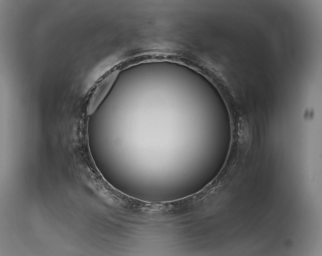 X0000115641352200911101507