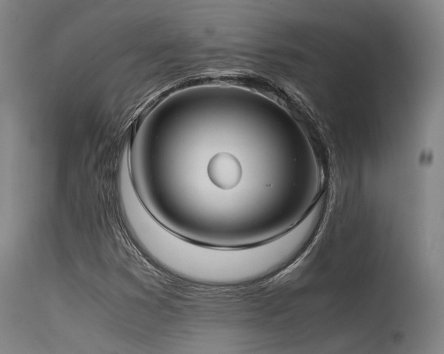 X0000115641353200911101507