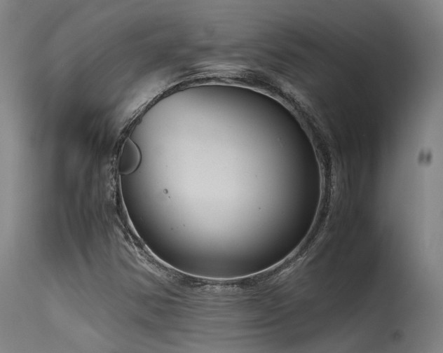 X0000115641354200911101507