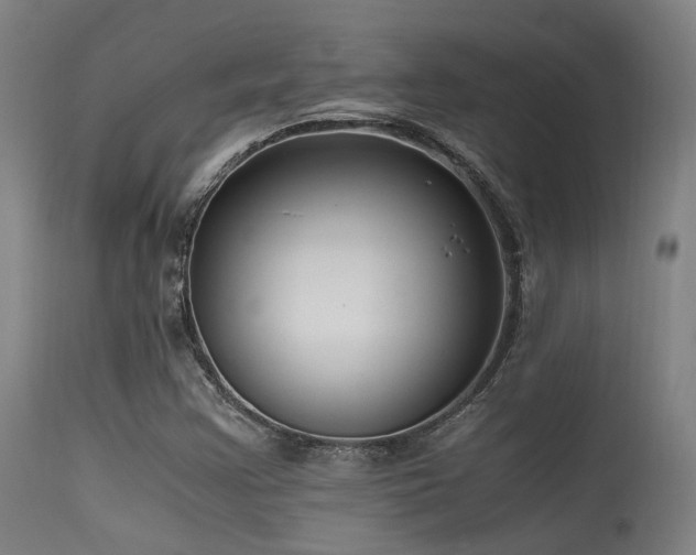 X0000115641355200911101507