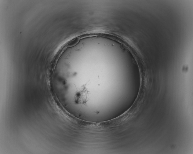 X0000115641356200911101507