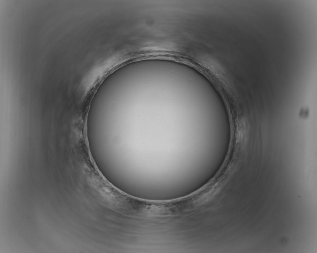 X0000115641357200911101507