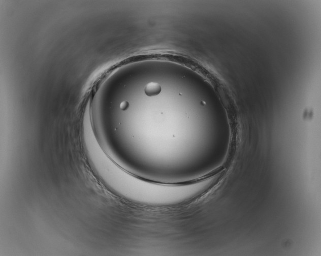 X0000115641358200911101507