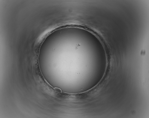 X0000115641359200911101507