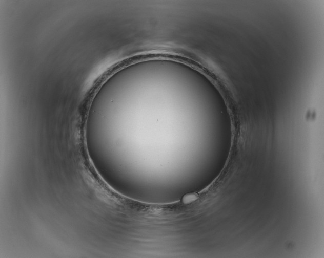 X0000115641360200911101507
