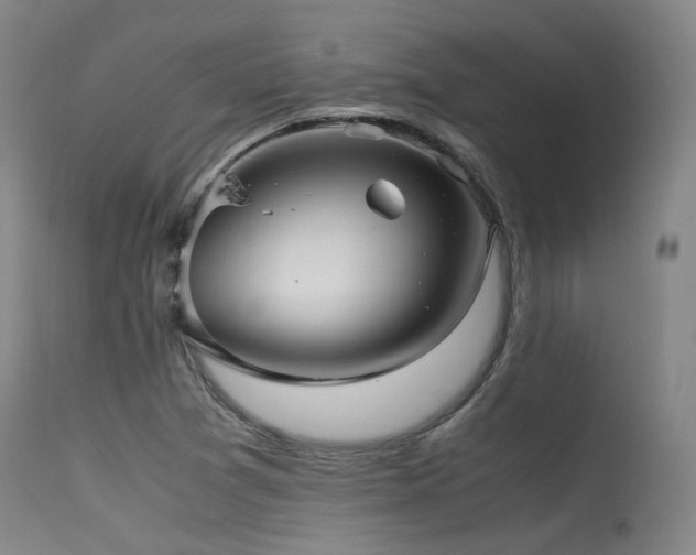 X0000115641361200911101507