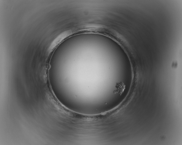 X0000115641362200911101507
