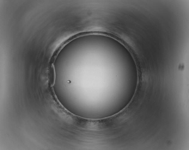 X0000115641364200911101507