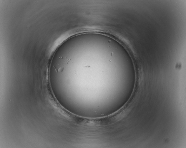 X0000115641365200911101507