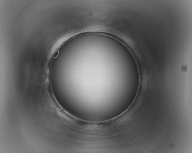 X0000115641366200911101507