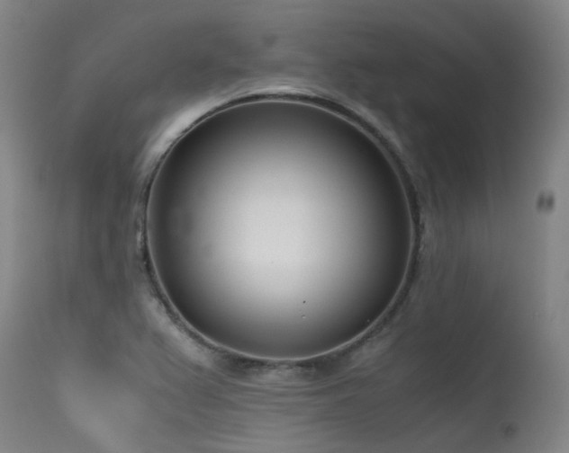 X0000115641367200911101507