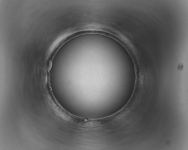 X0000115641368200911101507