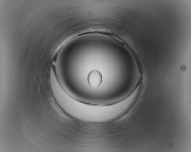X0000115641369200911101507