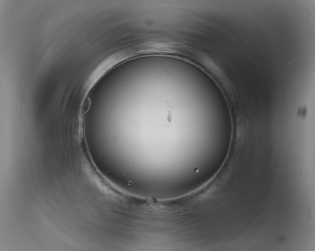 X0000115641370200911101507
