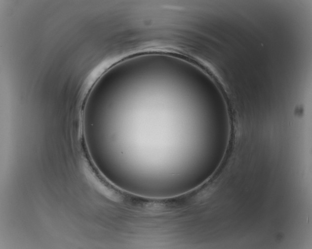 X0000115641371200911101507