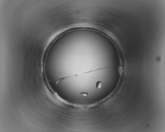 X0000115641372200911101507