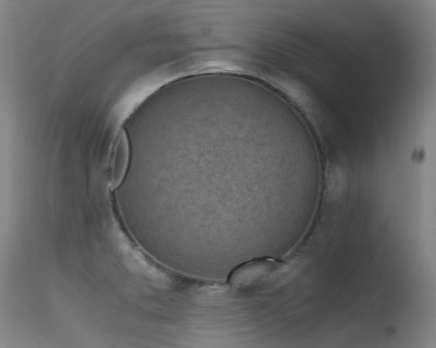 X0000115641373200911101506