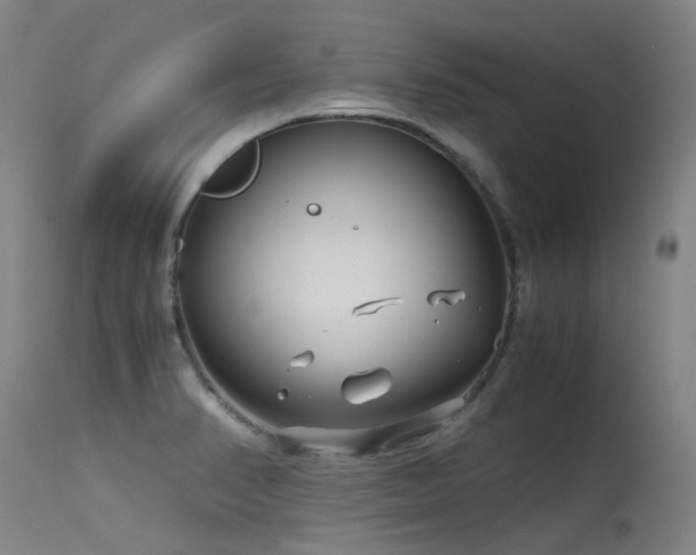 X0000115641374200911101506