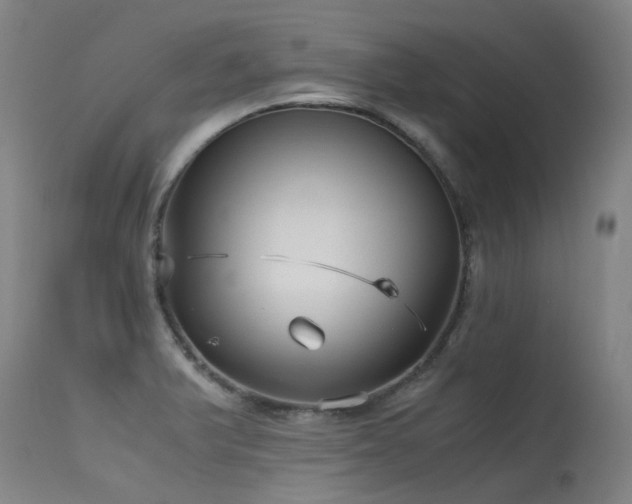 X0000115641375200911101506