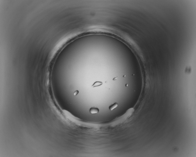X0000115641376200911101506