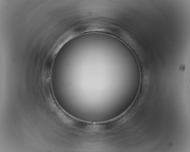 X0000115641377200911101506