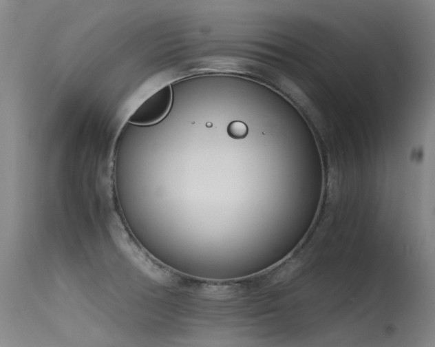 X0000115641378200911101506