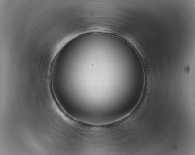 X0000115641379200911101506