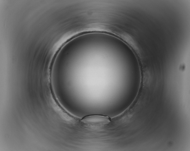 X0000115641380200911101506