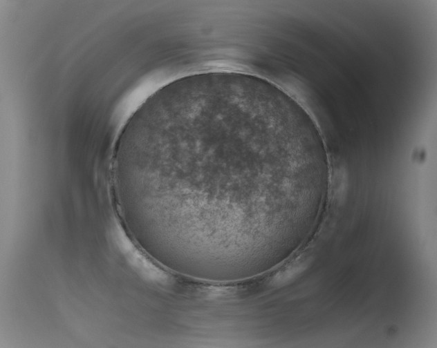 X0000115641381200911101506