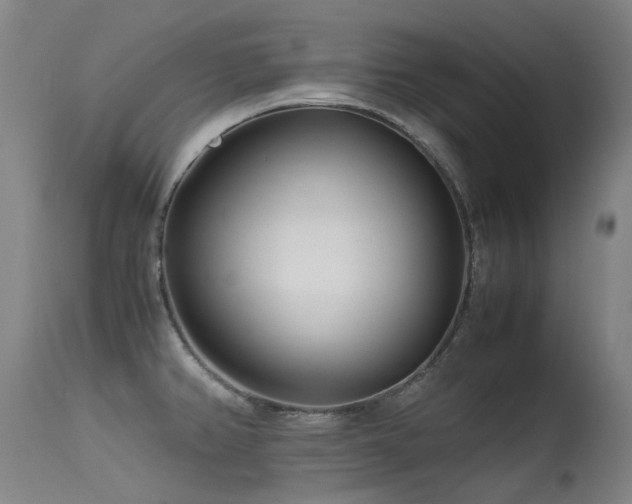X0000115641382200911101506