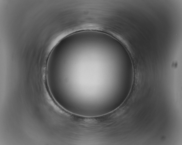 X0000115641383200911101506