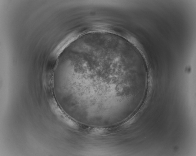 X0000115641385200911101506