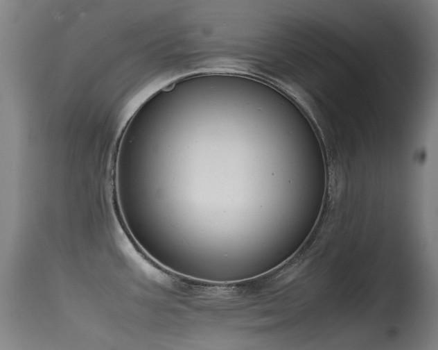 X0000115641387200911101506