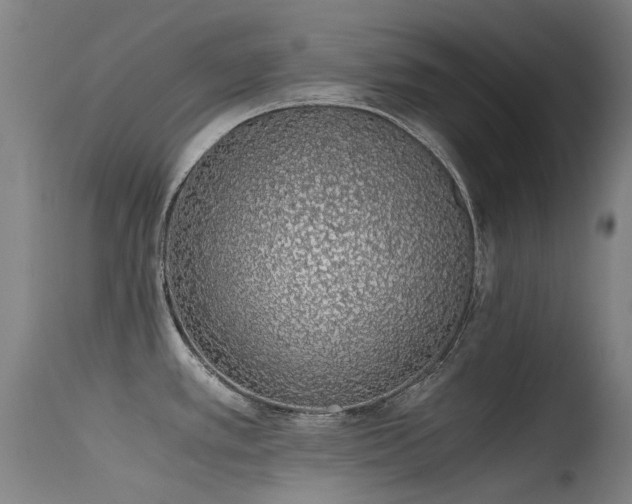 X0000115641389200911101506