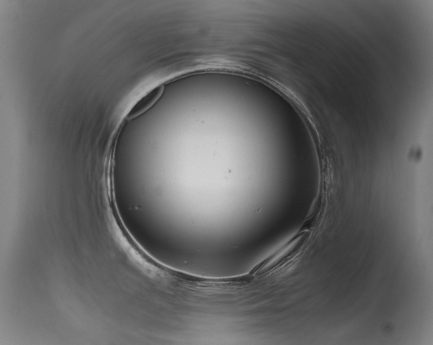 X0000115641391200911101506